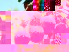 arbre_fruitier_letchis.jpg