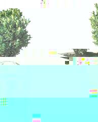 arrosage_04.jpg