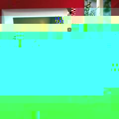 Chemin_e_bio_07.jpg