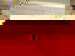 Fourmi_01.jpg