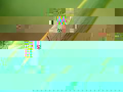 Moustique_01.jpg