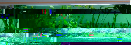 aquarium_05.jpg