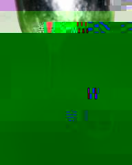 robient