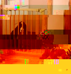 s_curit__maison_03.jpg