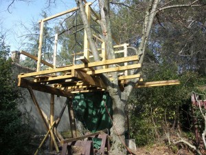 plateforme de cabane perchée