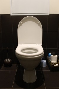 toilet-663707_960_720