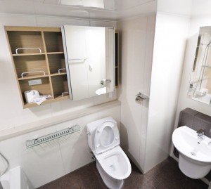 Détartrer les toilettes correctement