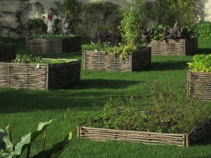 Avantages du jardin ou du potager surélevé