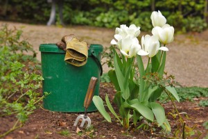 fleurs pour son jardin