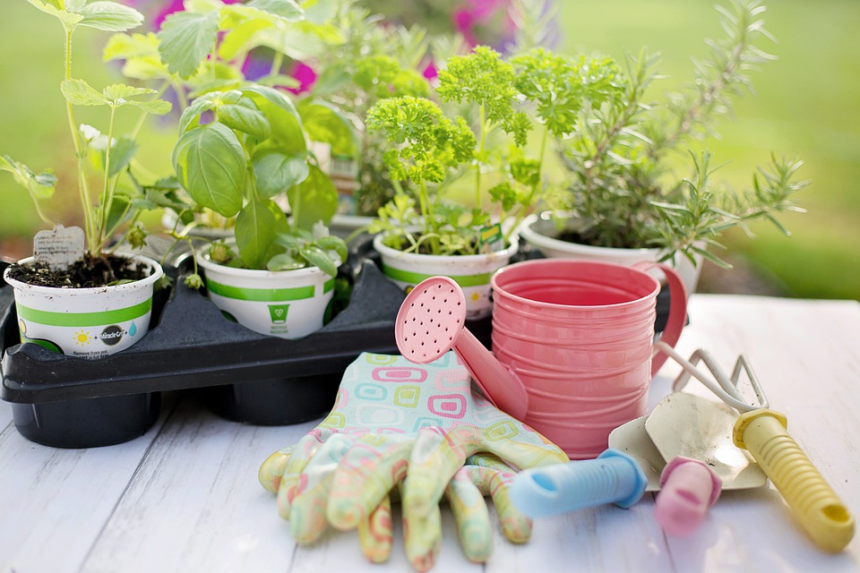 réaménagement du jardin