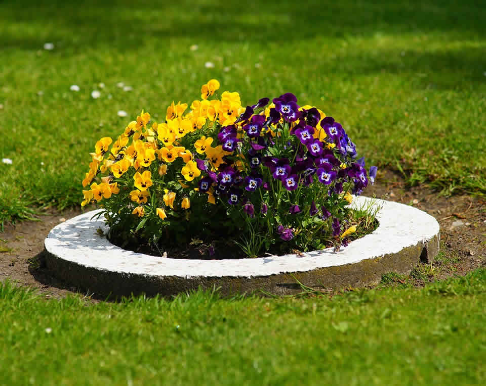 bien entretenir votre jardin