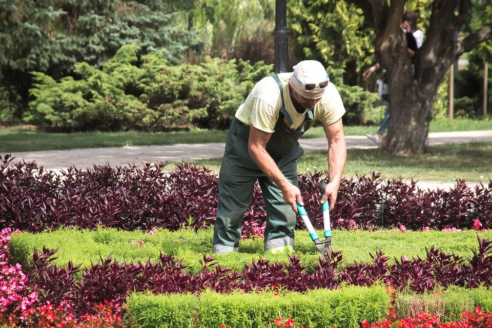 entretenir son jardin