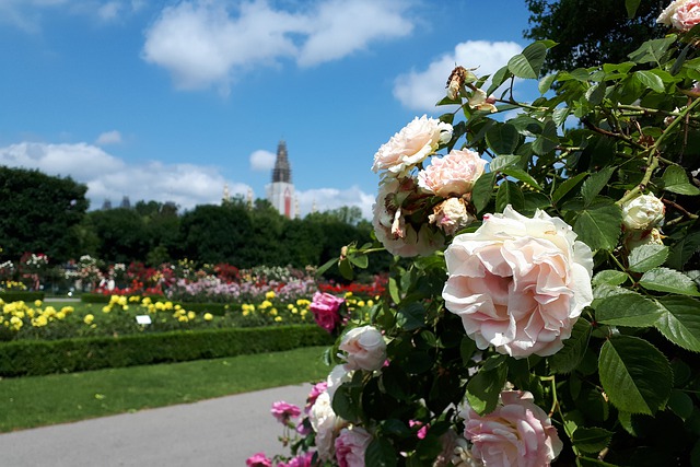 aménager un petit jardin de ville