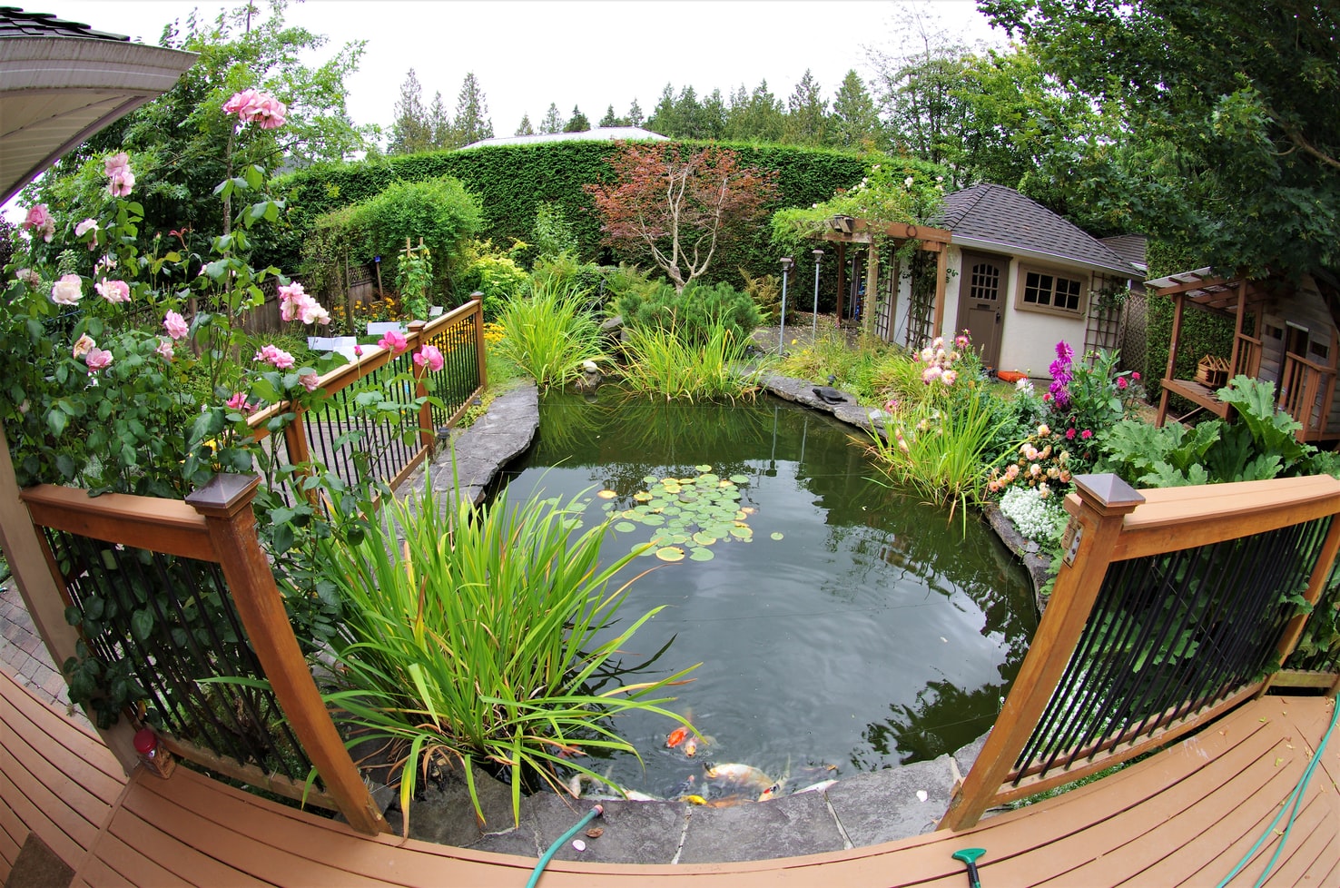 Bâche PVC ou EPDM : laquelle choisir pour son bassin de jardin ?