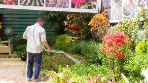 entretien de jardin en automne