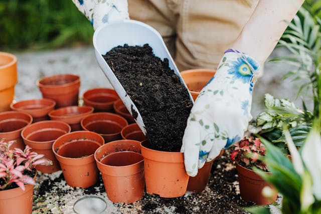différence entre un jardinier et un paysagiste