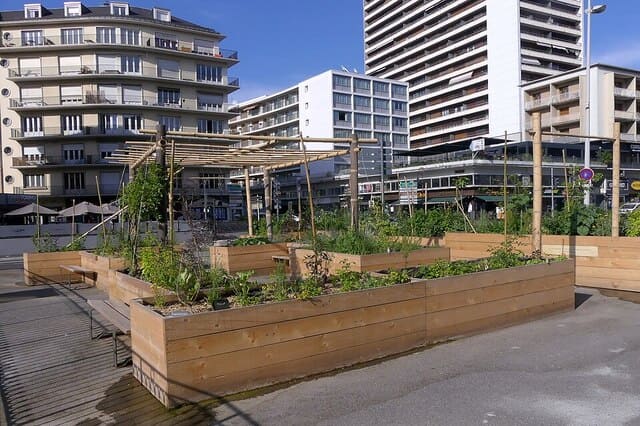 jardinage urbain