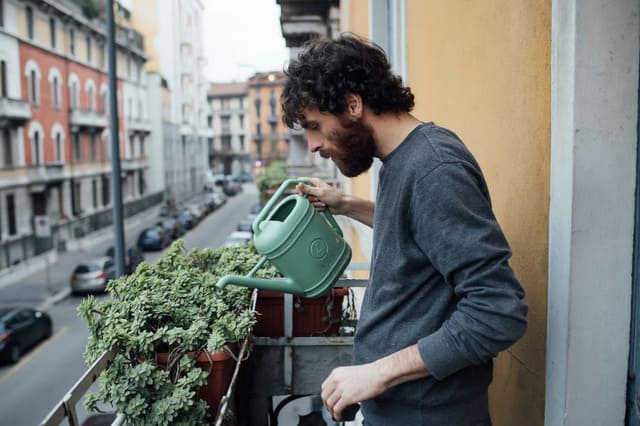 coin potager
